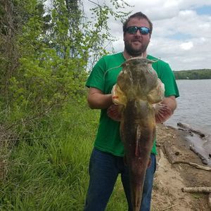 Meet your Posher, Levi